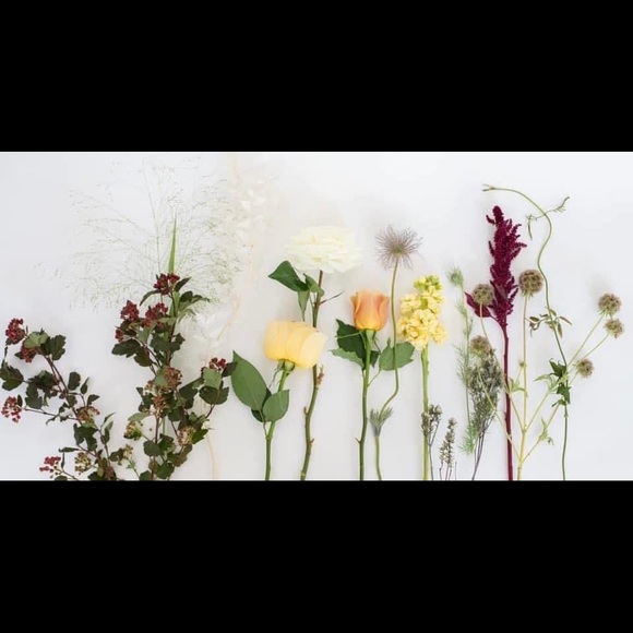 Meet your Posher, Karina - Picture 1 of 1